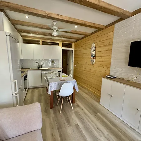 Seghers By Homing * Estepona